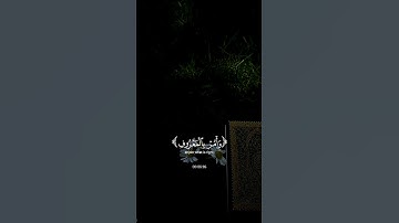 تلاوة تأخذك إلى عالم آخر بصوت الشيخ ياسر الدوسري أرح سمعك #ياسر_الدوسري