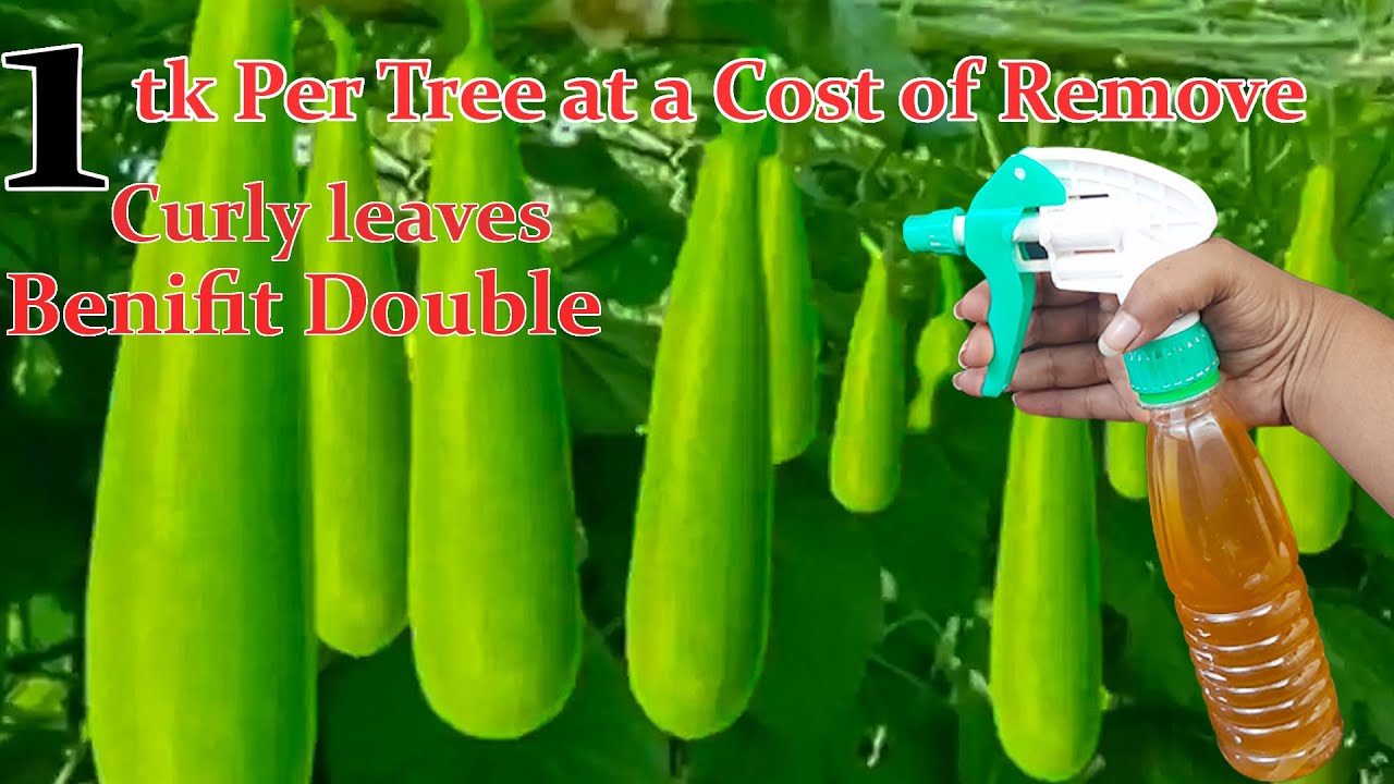 tobacco spray pesticide Sell organic for plants, Good quality organic pesticide for tobacco plants manufacturers Designed for safe Commercial Brand Flavoring For Tobacco