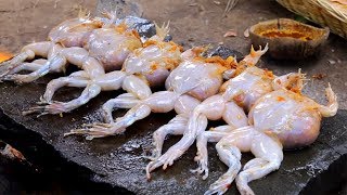 Catch N Cook Frog Recipe - Catch N Cook Frog On A Rock Recipe For Dinner And Eating Delicious