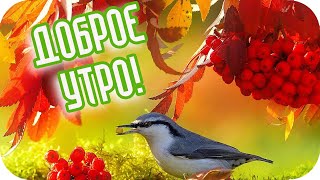 Доброе Утро! 🌸Пусть День Будет Полон Удачи! 🌸Прекрасное Пожелание🌸Good Morning!🌸