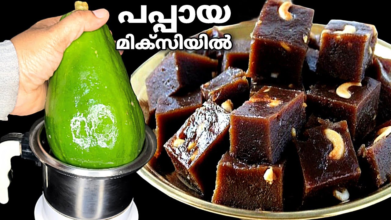 പപ്പായ മിക്സിയിൽ കറക്കൂ👌എത്ര കഴിച്ചാലും കൊതി മാറില്ല Papaya Recipe | Halwa Recipe