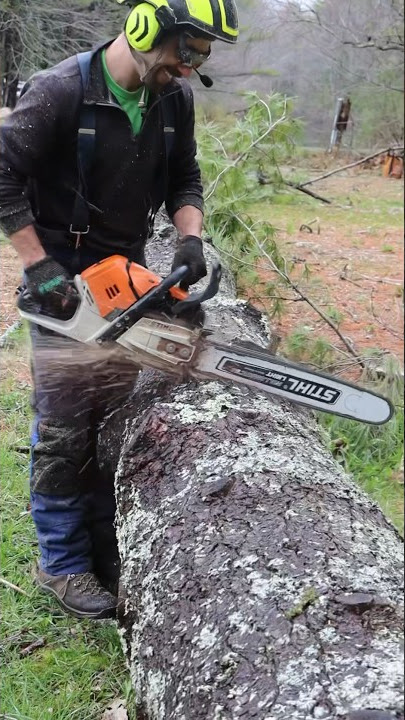 The $1,600 Chainsaw You Should Buy!