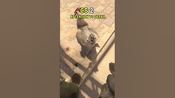 CS 2 Details: 🐔🚶‍♂️ Walking Doesn