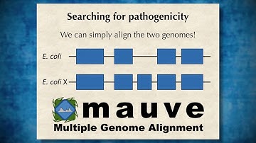 Genome Assembly 3: Assembling genomes from sequence data