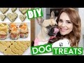 DIY DOG TREATS!