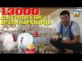 АРЗОН ЖОЙИДАН БИГ-6 ИНДЮКЛАРИ УЙ ШАРОИТИДА ЭНГ ЗУР БИЗНЕСЛАРДАН