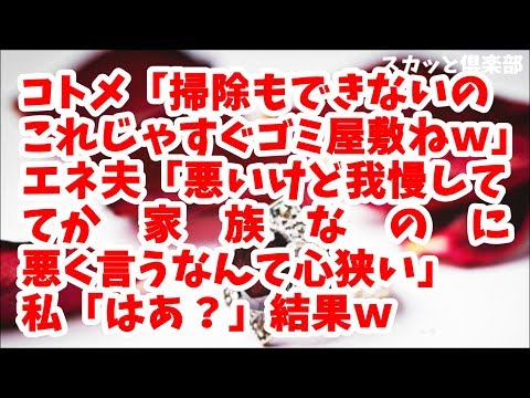 【スカッとする話】コトメ「嫁子ちゃん掃除もできないのｗこれじゃあ新居はすぐにゴミ屋敷ねｗ」エネ夫「悪いけど我慢してよ…てか　家　族　な　の　に　悪　く　言　う　な　ん　て　心　狭　い　」私「はあ？」