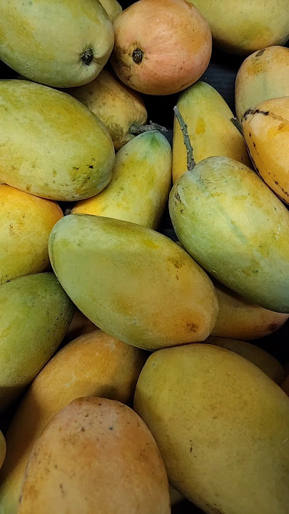 Asmr sweet mangoes #youtube #youtubeshorts #asmrtriggers
