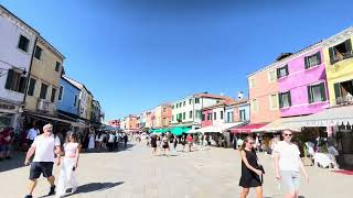 IMG 7373