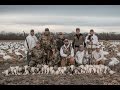 "The Experience" of Spring Snow Goose Hunting  - Fowled Reality