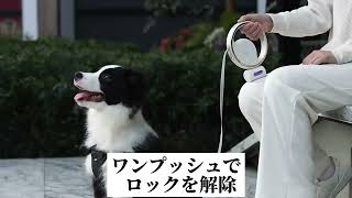 犬 リード 自動伸縮リード 犬用ロングリード 小·中·大型犬 ハーネス フレキシ リード 暴れるダッシュを防止 LEDライト付き うんち袋付き 長さ3ｍ 耐荷重60㎏ アップグレード版ワンボタンリード