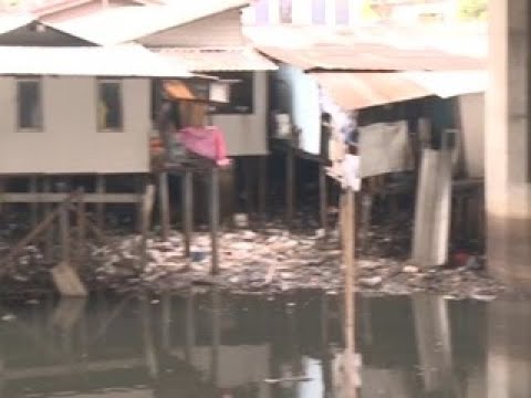 Лихорадка Денге свирепствует в Таиланде: почти 70 человек умерли, 60 тысяч заражены - Россия Сегодня