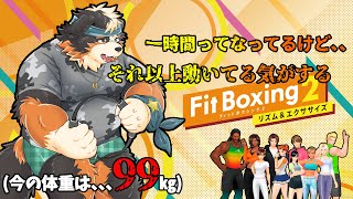 【Fit Boxing2】1時間って書いてたけどそれ以上動いてる気がするんですが、、