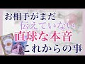 【全選択肢で鳥肌級✨神結果が出ました🥹】お相手様がまだ伝えていない本音❤️とお二人の最終結果［ルノルマンタロットオラクルカード］