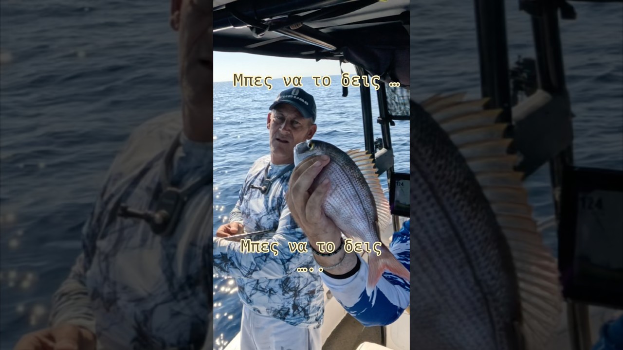 Μπες να το δεις … #ψάρεμα #fishing #fishboat #fish #boatfishing #summer #travel #fishinglife #drone