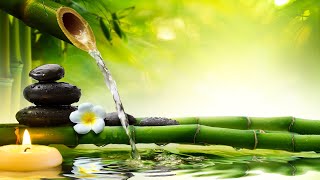 Relaxing Piano Music: Sleep Music, Water Sounds, Relaxing Music, Spa Music screenshot 5