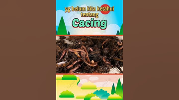 Fakta Unik Cacing#shorts #hewan #binatang