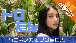 グラビア動画を100倍美味しく観るサプリ『トロたん 編』