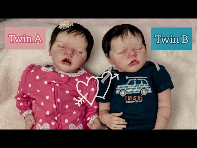 Gêmeos Reborn Twin A e Twin B Lindos Dois bebês juntos