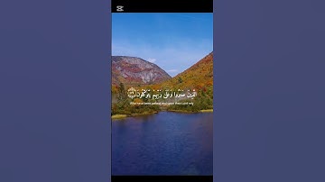 ﴿ الَّذِينَ صَبَرُوا وَعَلَىٰ رَبِّهِمْ يَتَوَكَّلُونَ (٥٩) ... ﴾ سورة العنكبوت