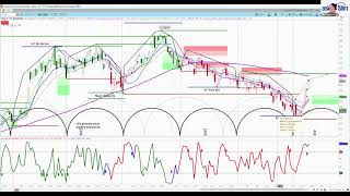 TSLA Weekly & Daily Chart & Cycle Analysis