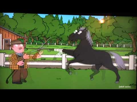 funny-horse