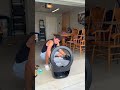 Do you think it’s worth $800 🫣 #dad #dadsoftiktok #cleantok  #dadlifewithstephen #shorts