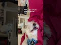 Bro is too happy 🤫👍🥶