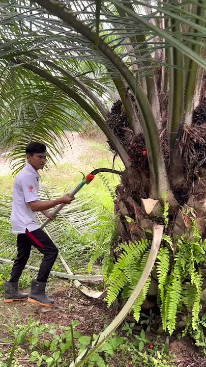 Saya sih lebih suka pakai Egrek