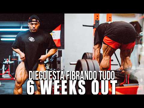 STRONGER AND MORE FIBERED EVERY DAY - 6 WEEKS OUT