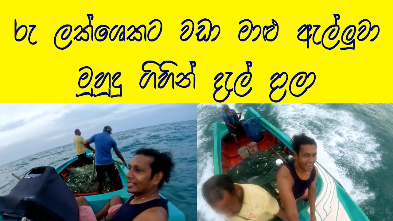 මාළු කිලෝ114 ඇල්ලුවා මුහුදු ගිහින්😍Fishery industry 🧡 Baththalangunduwa island 👍Boat trip 👍Sea food