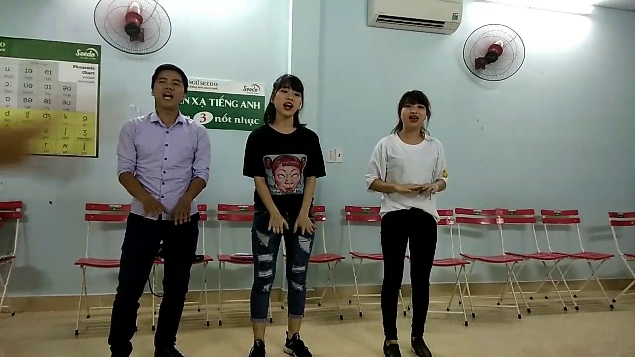 Seedo - Seed K18 - Group: Never give up