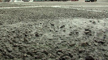 Going Green at the Zoo-Cincinnati Zoo