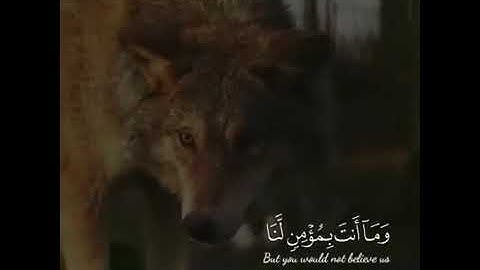 سورة يوسف بصوت اسلام صبحي حالات واتس أب