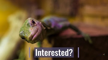 Embridge Workflow basics for Unit4 Business World