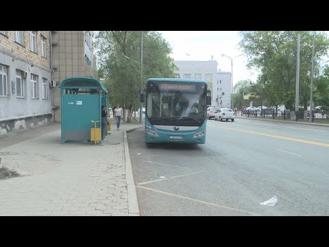 Бейне: Кеш күйікке шалдыққан қызанақ ауруы - кеш күйдірудің белгілері мен емі