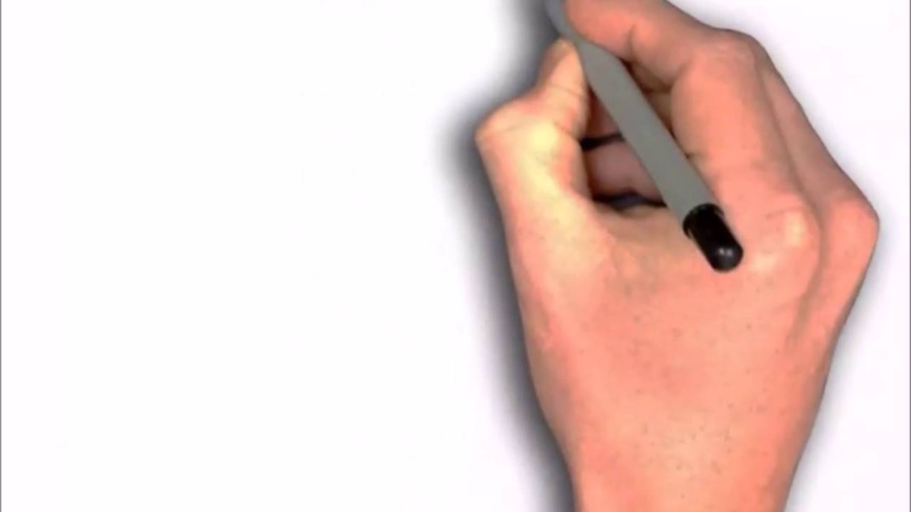 Camp Canine Florida - Pet Boarding and Daycare - South Florida