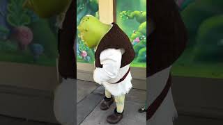 True love Shrek and Fiona