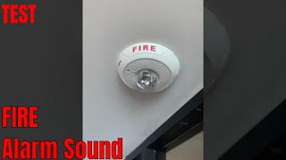 Alarm sound. Testing a Fire Alarm system.  It works great.  CAUTION. LOUD NOISE - Sounds of Progress