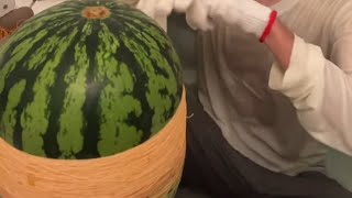 スイカパーリーピーポーの配信