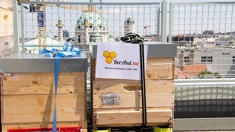 Beeand.me Bienenmonitor am TU Wien Campus Freihaus