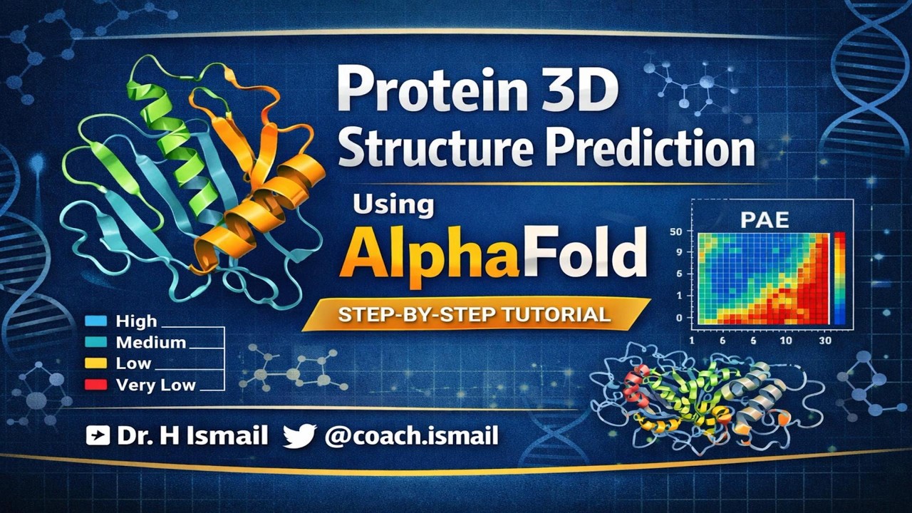AlphaFold | Protein Structure Prediction | Mutation Analysis | Step-by ...