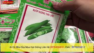 hạt giống nhập khẩu mỹ , thái lan, đài loan chính hãng ai có nhu cầu mua liên hệ shop