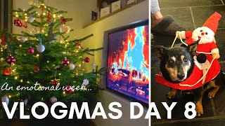 VLOGMAS DAY 8 | UPDATE ON TRAVEL TO GENEVA | KFC XMAS MEAL | DRESSING UP THE PUPPIES |