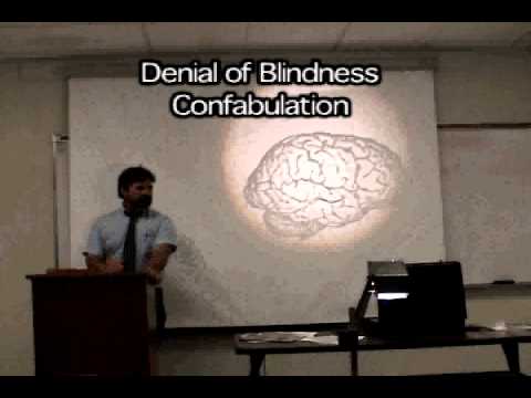Brain Mind Lecture 1: Lobes of the Brain, Limbic System, Language, Consciousness