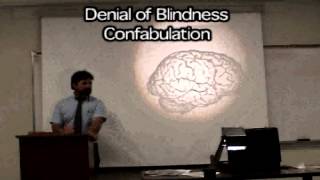 Brain Mind Lecture 1: Lobes of the Brain, Limbic System, Language, Consciousness