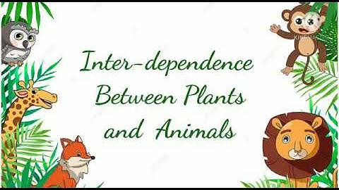 Class 4th || Science || Topic- Interdependence between plants and animals