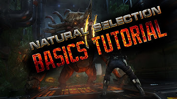 Natural Selection 2 - Basics  - Marine