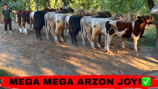 картинка: BUNAQA ARZON BO’LMAGAN EDI😱😱😱8 октября 2025 г.