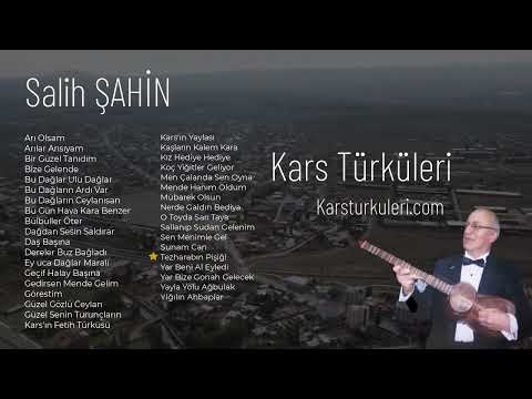 Salih Şahin - Tezharabın Pişiği